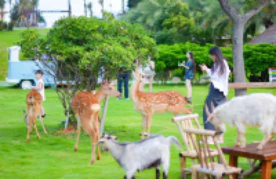 温州金海岸ニューセンチュリー グランドリゾートホテル