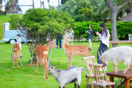 Grand New Century Resort Dongtou Wenzhou Отели рядом с достопримечательностью «Wanghai Tower»