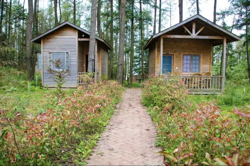 Forest Chalet