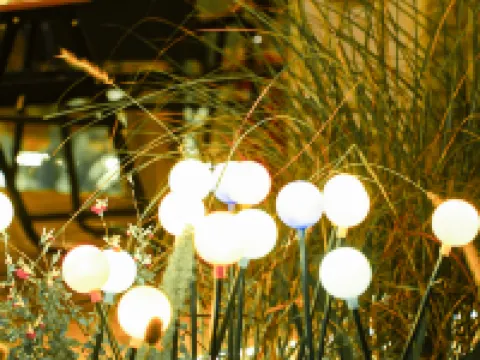 AeroViewHotel Hotels in Chengdu