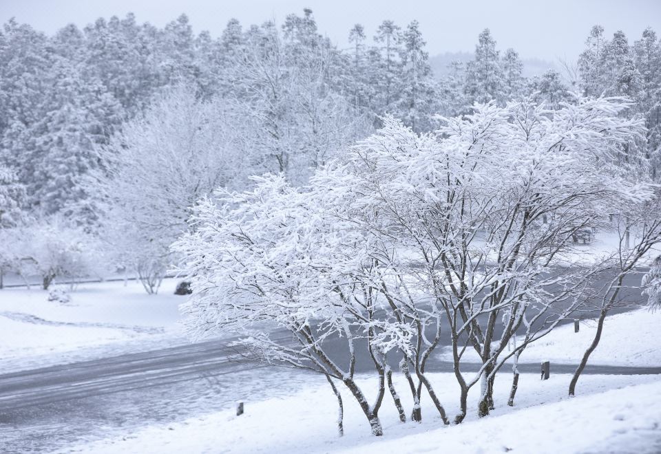 선녀산 설경