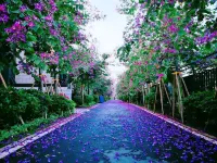 Jingka city residential vacation villa