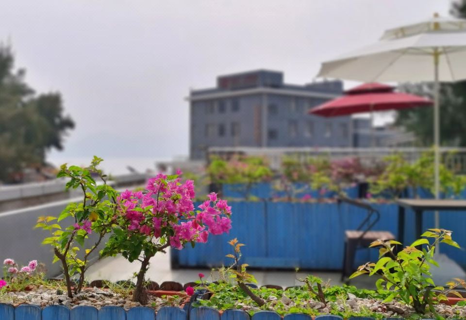 선전 반샤 인 주변 맛집