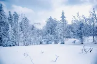 雪鄉·雲龍度假美宿（雪韻大街童話世界店）