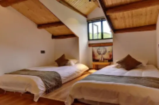 莫幹·品軒民宿