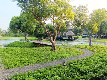 รูปภาพของChombua MaeWang ชมบัว