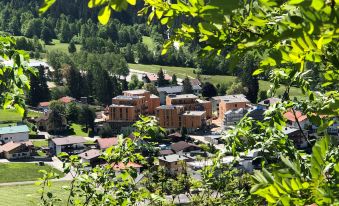 All-Suite Resort Ötztal Inklusive Summer Card