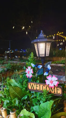 Xiao Luo Hao Guesthouse,Zhangzi lsland