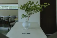 MUUA Zai Yun Jian - servizio colazione