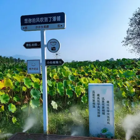 Yueheju Holiday Homestay