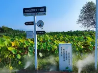 Yueheju Holiday Homestay