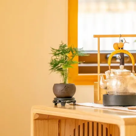 Wanwu Xishe Light Luxury Homestay