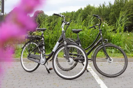 Van der Valk Hotel Leusden - Amersfoort Отели в г. Амерсфорт