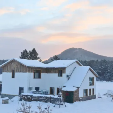 easy leaf & easy life