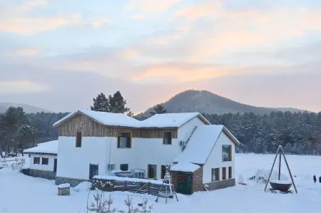 easy leaf & easy life