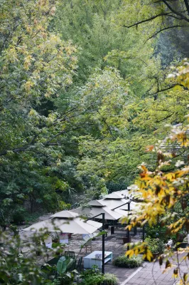 Zhi Resort