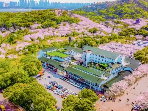 無錫櫻花山荘（太湖黿頭渚景勝地）