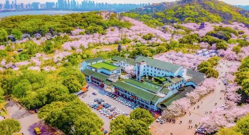 Wuxi Sakura Villa （Taihu Yuantouzhu Scenic Area） - رومانسي