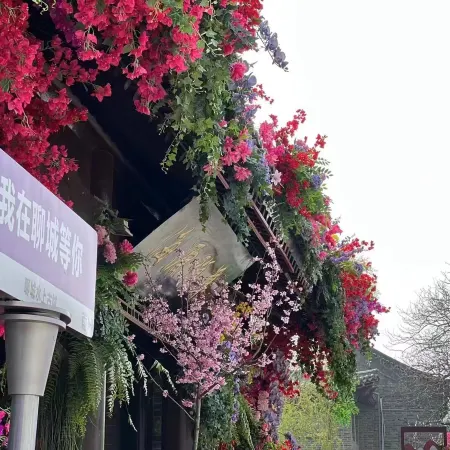 Liaocheng Haiyuan Yaji Hotel (China Water Ancient City)