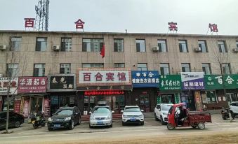 Xinbin Lily Hotel