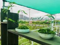 Shiyun Huayu Homestay