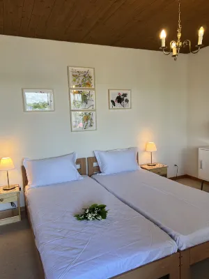 Sweet Home Lucerne Hotels in Emmen