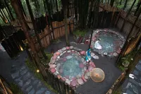 Yingjing, Ya'an. ink painting. Hot Spring Valley, Huaxi District Hotels in Yingjing