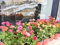 Aisan City Hotel โรงแรมในฝู่หยุน