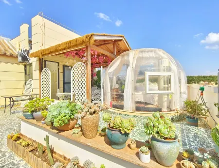 Luxilonika B&B Отели в г. Луси