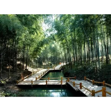Liyang Qingjia Homestay (Nanshan Bamboo Sea)