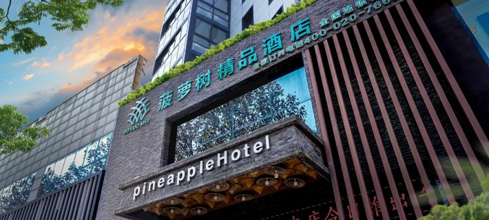 Pineapple Hotel Hotels in Linshu