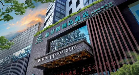 Pineapple Hotel Отели в г. Линьшу