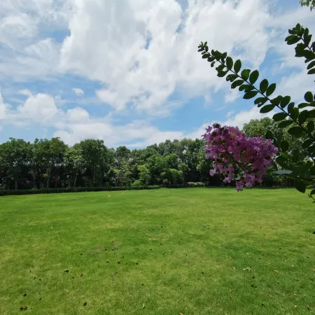 Jurong Maoshan Gequan Resort