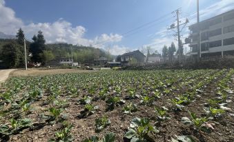 Yunlai Wangshan Homestay