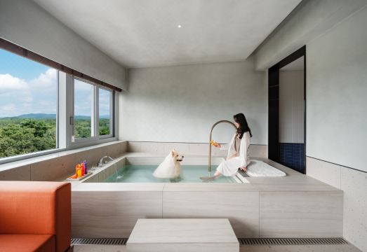 [키녹 호텔의 반려견 친화적인 객실 인테리어]