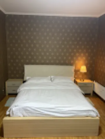 Spacious Entire Apartment in Embassy Area