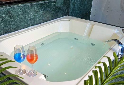 웨스턴 그레이스 호텔