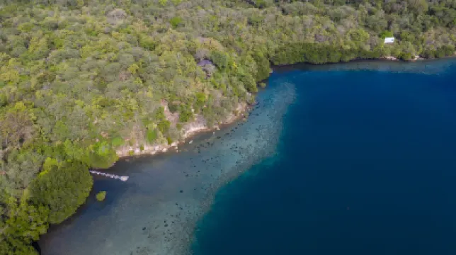 Menjangan Ecolodge Hotels near Menjangan Island
