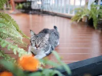 Chorlada Lanna Hotel Các khách sạn gần Cầu Mangrai