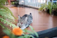 Chorlada Lanna Hotel Hotels near Movaci