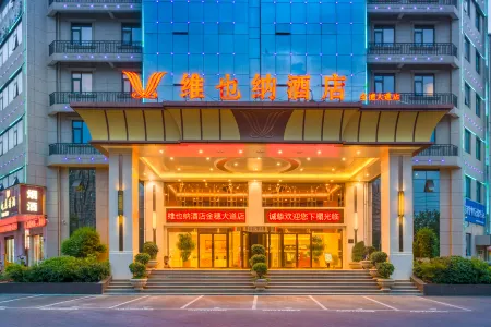 Vienna hotel Отели в г. Синьсян