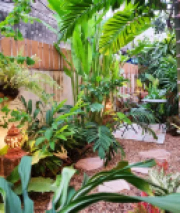 Focal Local Bed & Breakfast