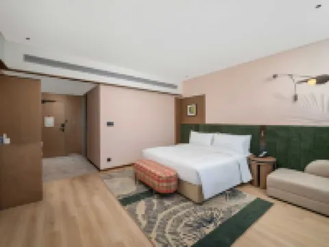 金湖希爾頓花園酒店 金湖酒店