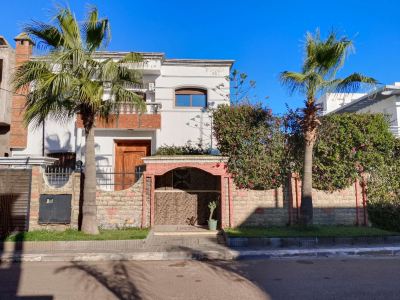 Morocco Casablanca Polar Bear Airport Homestay