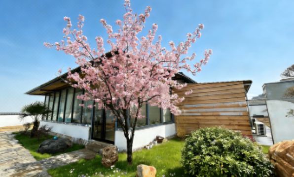 Dengfeng Youlu Homestay (Songshan Scenic Area)