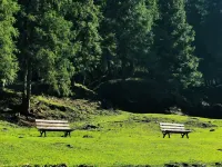 Urumqi Nanshan Forest Health - Wellness Resort Hotel - Mountain view