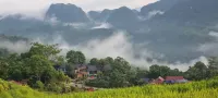 Gaia Puluong - WiFi