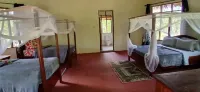 Malombo selous forest camp - 3-Star