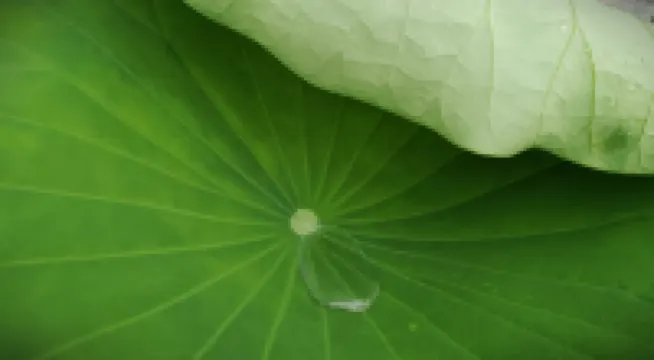 慈渓木南居民宿