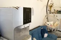 Buddy Station